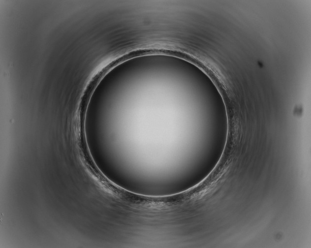 X0000098170982200804241152