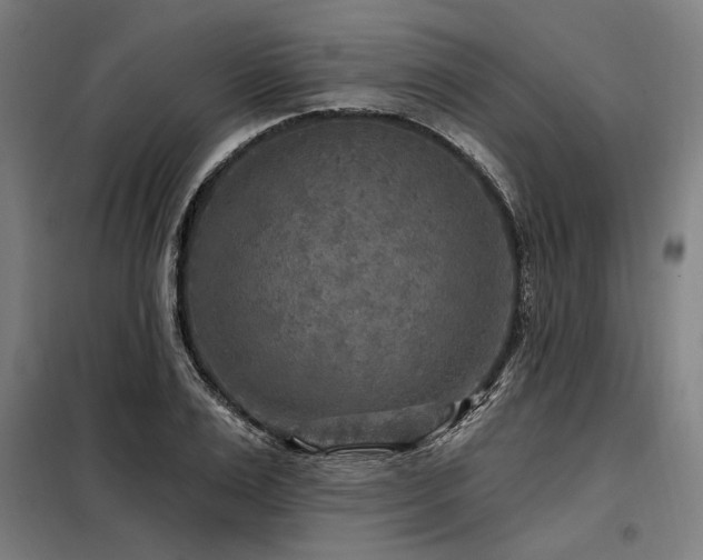 X0000098170983200804241152