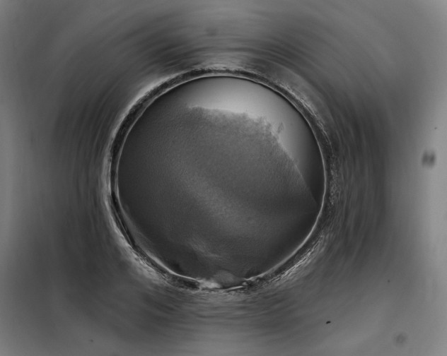 X0000098170984200804241152