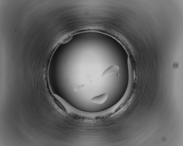 X0000098170985200804241152