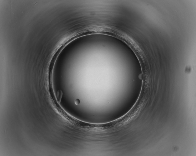 X0000098170986200804241152