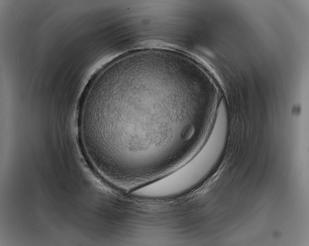 X0000098170987200804241152