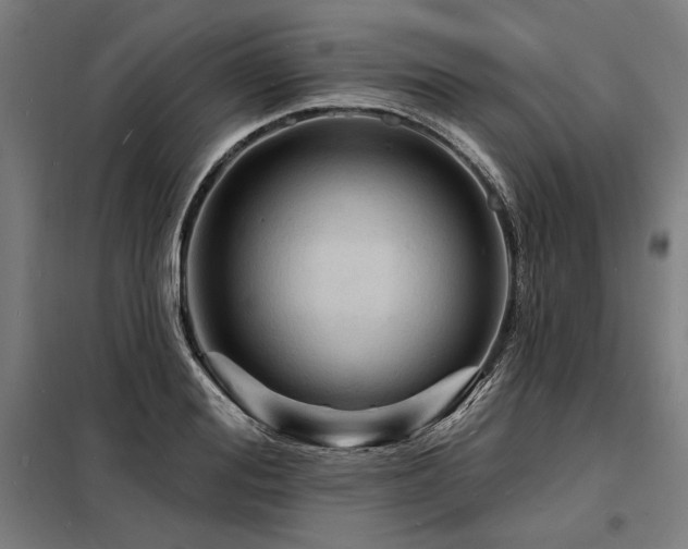 X0000098170988200804241152