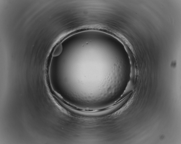 X0000098170989200804241152