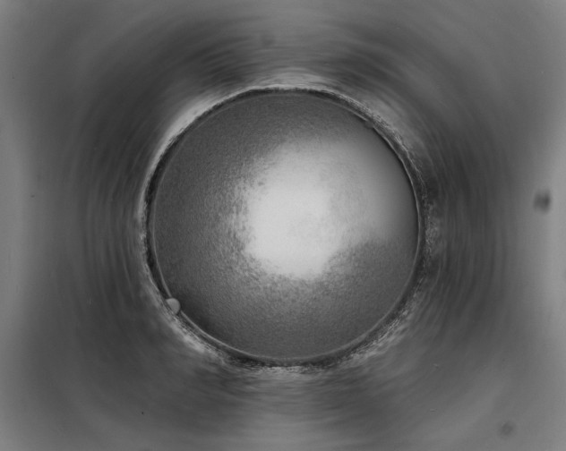 X0000098170990200804241152