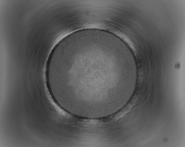 X0000098170991200804241152