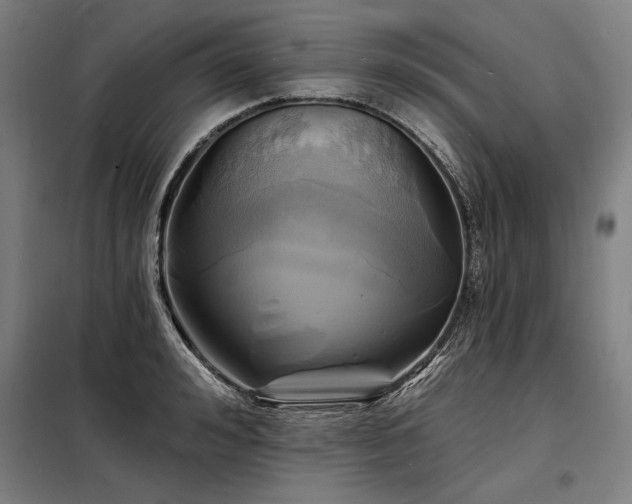 X0000098170992200804241151