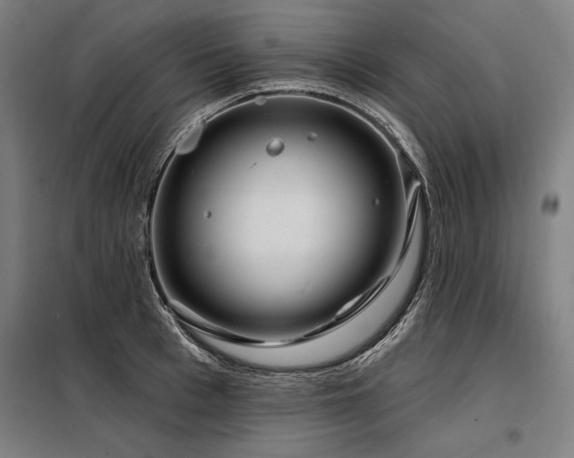 X0000098170993200804241151