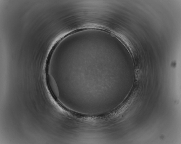 X0000098170995200804241151