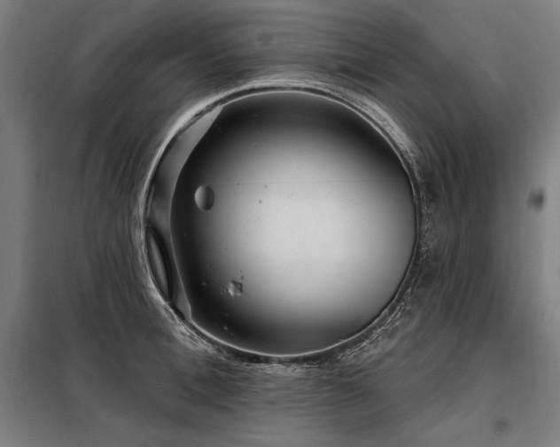 X0000098170996200804241151