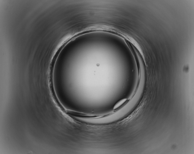 X0000098170997200804241151