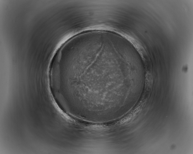 X0000098170998200804241151