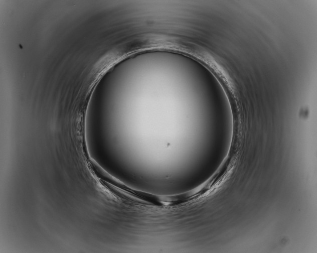 X0000098171001200804241151