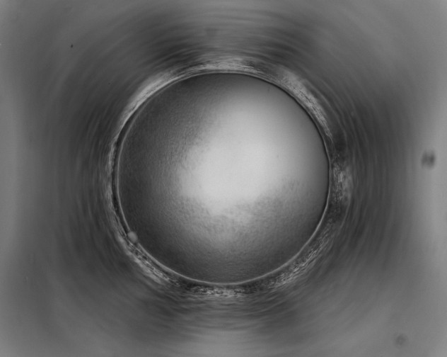 X0000098171002200804241151