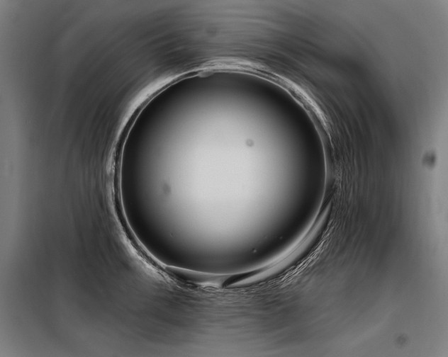 X0000098171003200804241151