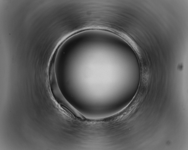 X0000098171004200804241151