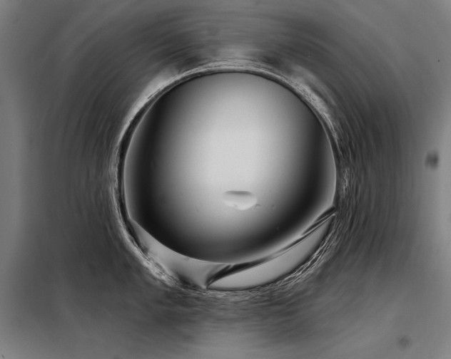 X0000098171005200804241151