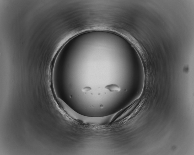 X0000098171006200804241151