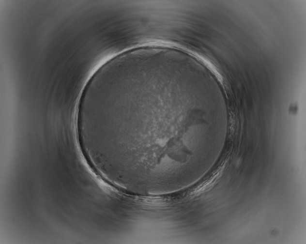 X0000098171007200804241151