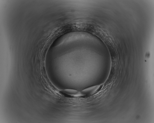 X0000098171009200804241150