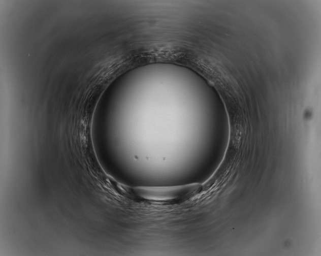 X0000098171010200804241150