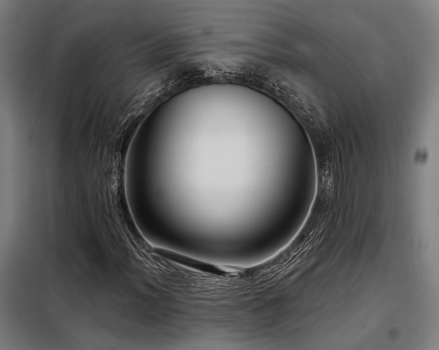 X0000098171012200804241150