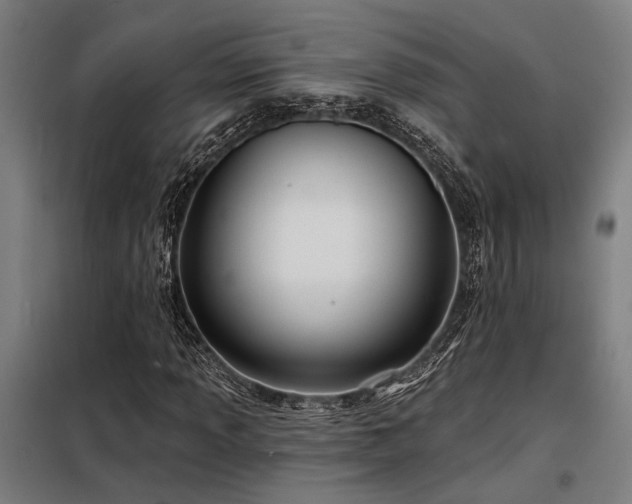 X0000098171013200804241150