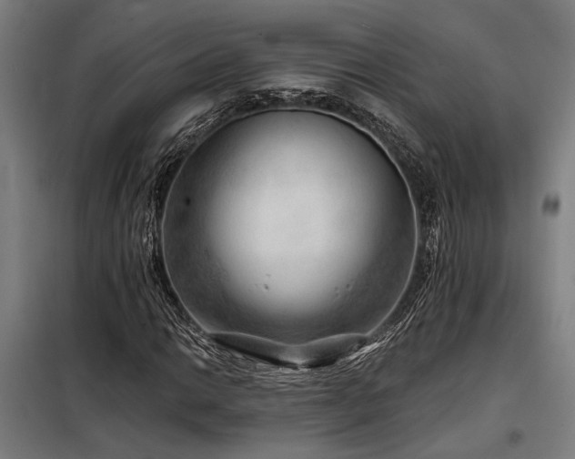 X0000098171014200804241150