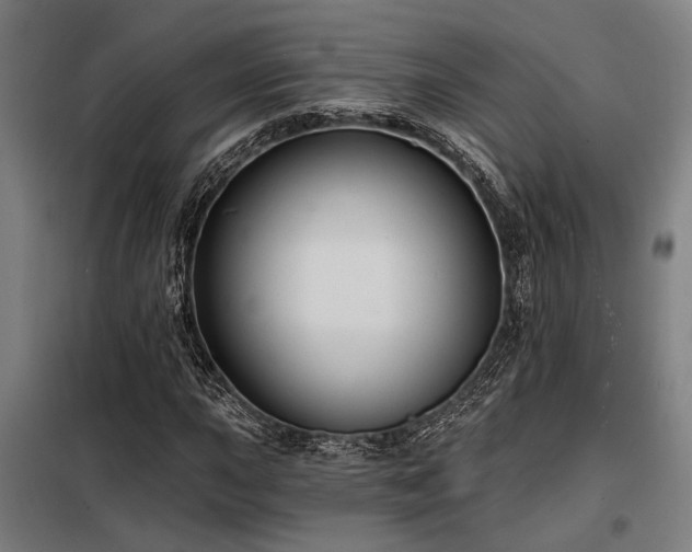 X0000098171015200804241151