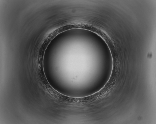 X0000098171016200804241151