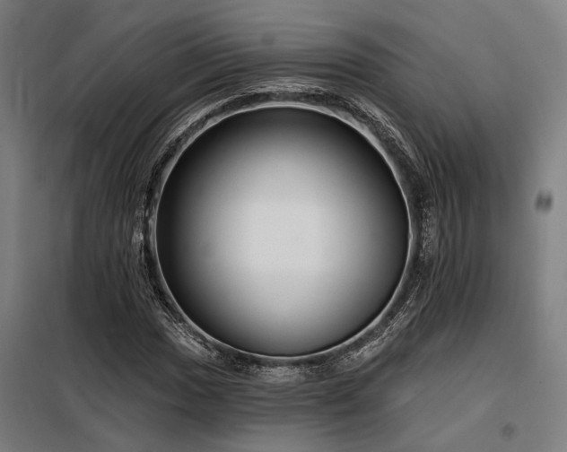 X0000098171017200804241151