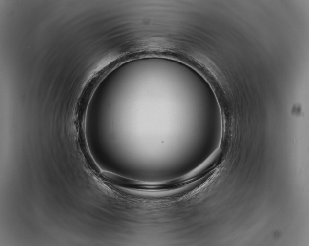 X0000098171018200804241151