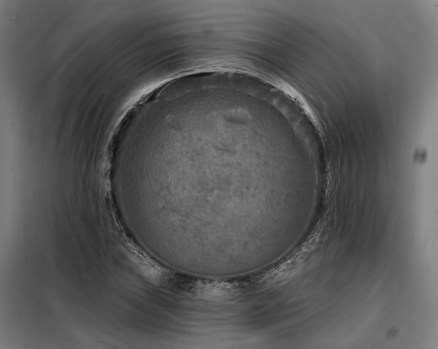 X0000098171019200804241151