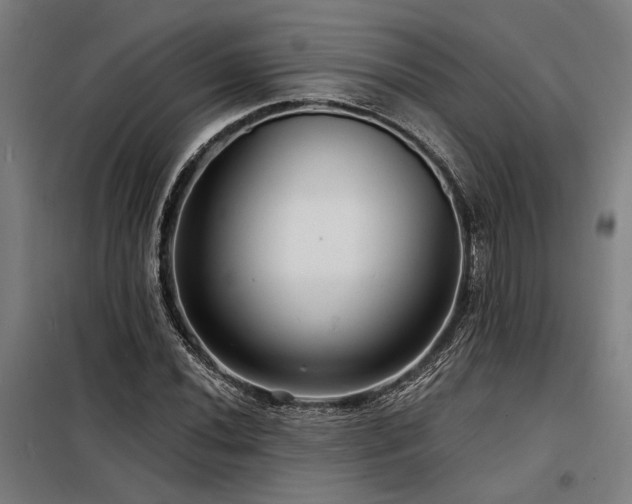 X0000098171020200804241151