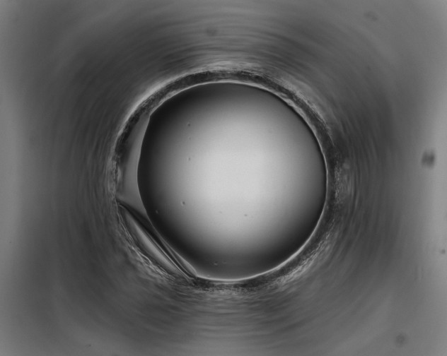 X0000098171021200804241151