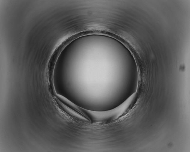 X0000098171022200804241151