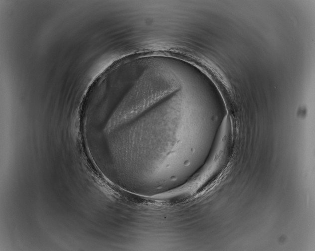 X0000098171023200804241151