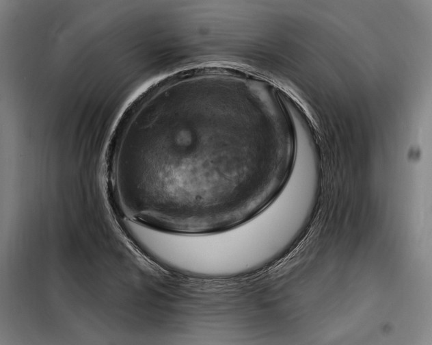 X0000098171024200804241151