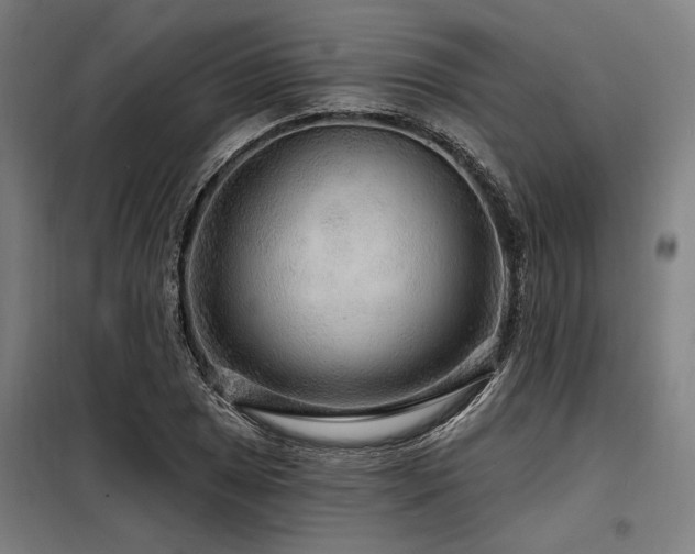 X0000098171025200804241151