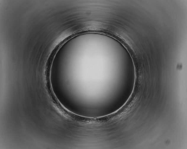 X0000098171026200804241151