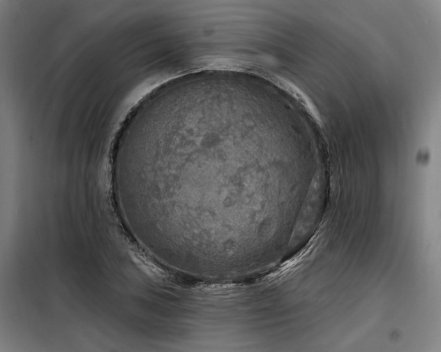 X0000098171027200804241151