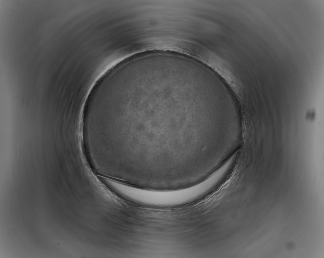 X0000098171028200804241151