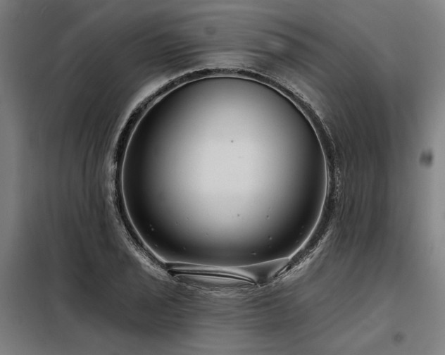 X0000098171029200804241151