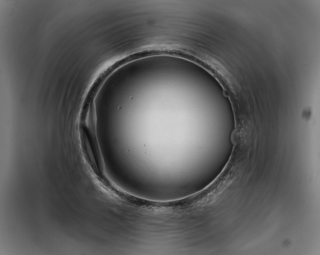 X0000098171030200804241151