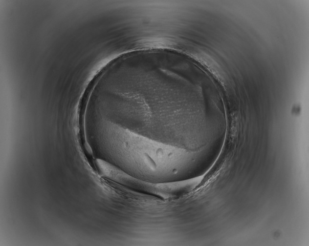 X0000098171031200804241151