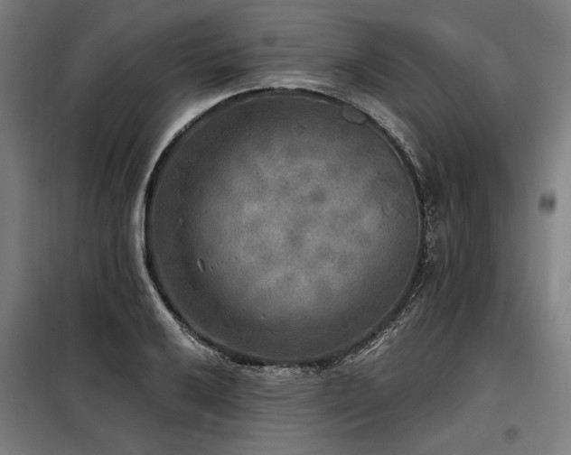 X0000098171032200804241151