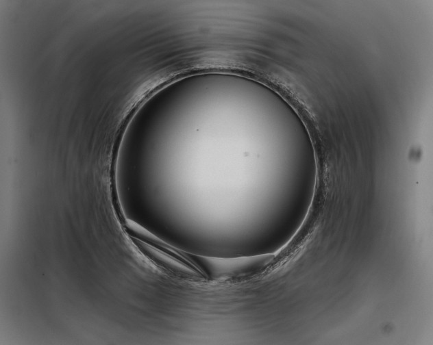 X0000098171033200804241151