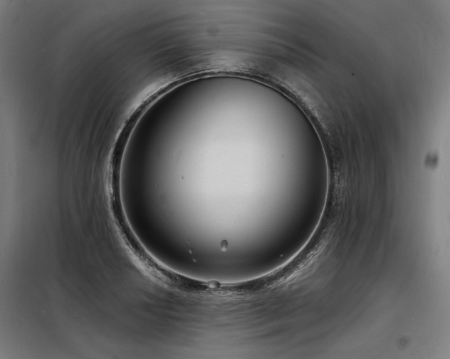 X0000098171034200804241151