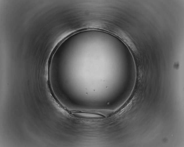 X0000098171036200804241151