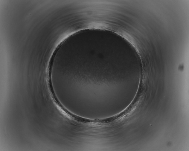 X0000098171037200804241151